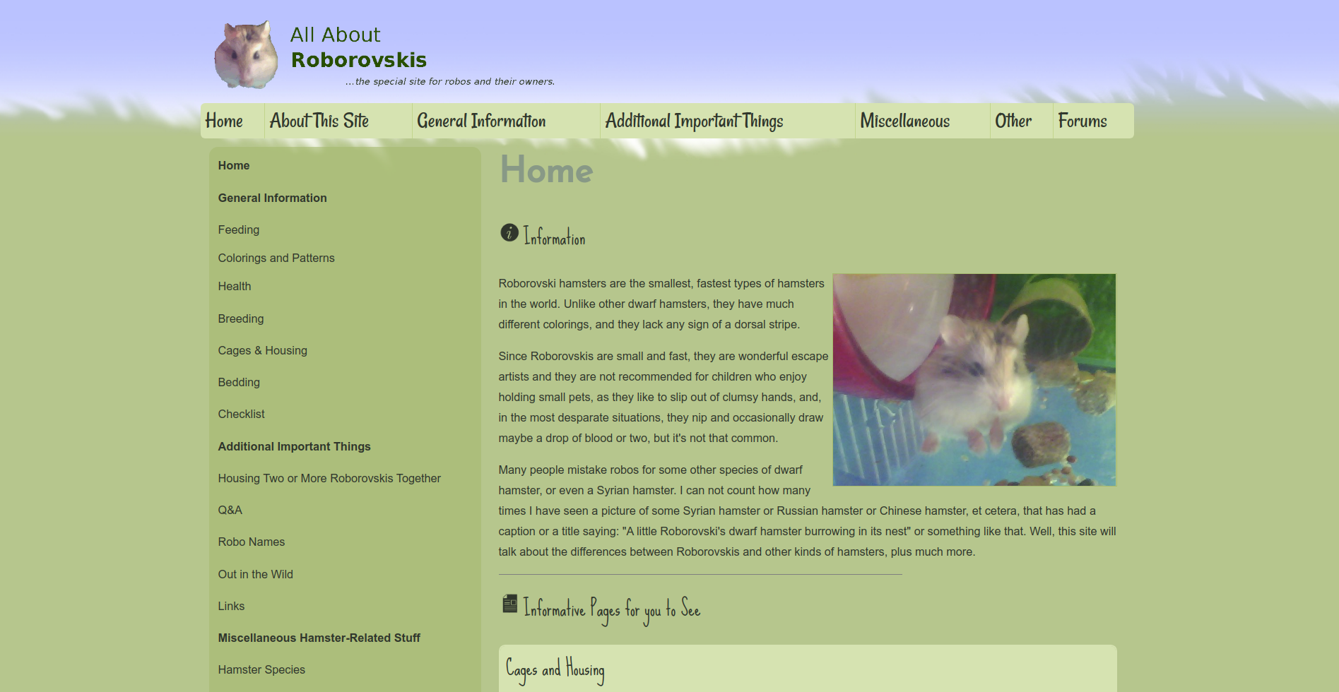 Roborovski Hamster Website (I was obsessed…)